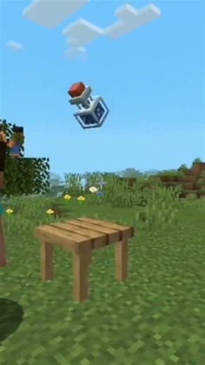 Minecraft amazing postion bottle flip trick #minecraft