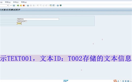 SAP系统长文本对象的应用演示