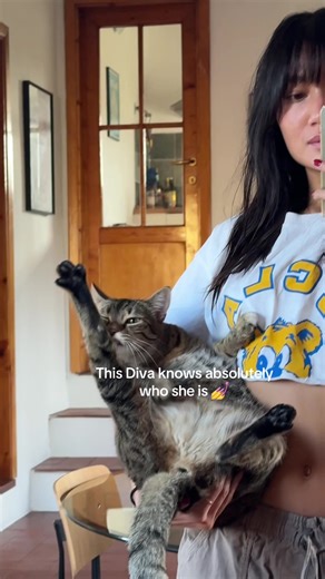 Raising a Diva Cat: The Ultimate Macaroni and Cheese