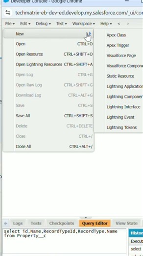 open developer console in 5 sec #education #salesforce #console #salesforceadmin