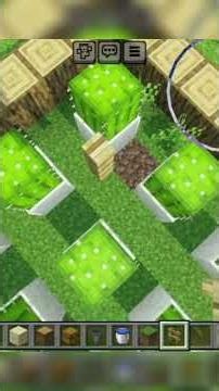 how to make cactus farm in Minecraft #minecraft