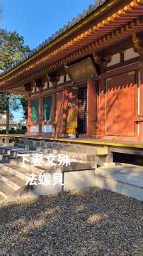 下妻文殊院 法螺貝 Shimotsuma Monju-in Temple Conch Shell Horn