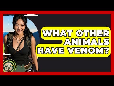 What Other Animals Have Venom? - The Wild Life Explorer