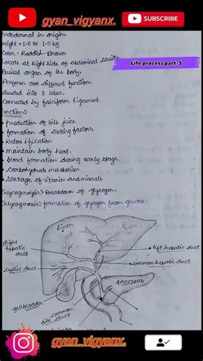 Life process part 5.🧠🫁🌿.. #viral #shorts #trendingshorts #youtubeshorts #explore #share
