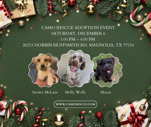 🐾 Join Us for the CAMO Rescue Adoption Event! 🐾 📅 Saturday, December 6th 🕐 1:00 PM – 4:00 PM 📍 26233 Dobbin Huffsmith Rd, Magnolia, TX 77354 Looking to add a furry friend to your family? Come meet some amazing, fully vetted, adoptable dogs from CAMO Rescue! ❤️🐶 Important Adoption Info: All adoptions require: ✔️ Completed application ✔️ Vet check ✔️ Home check ✔️ Final contract To streamline the process, preapproval before the event is highly recommended. 👉 Apply today: https://www.camores