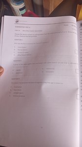 GR 12310 MdSUMMATIVE TEST 4PART A: MULTIPLE CHOICE QUESTIONS... | Filo