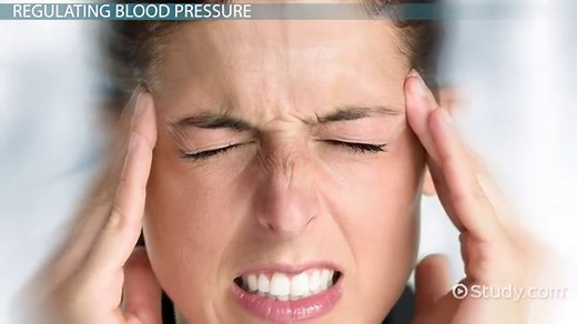 Baroreceptors Overview, Function & Location