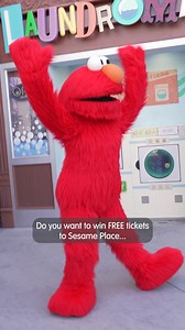 5.3K views · 40 reactions | Do you want to win 4 single-day admission...