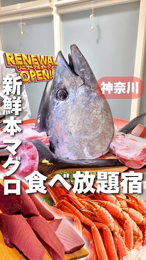 湯らり旅♨︎関東発┊お宿┊観光 | 【リニューアル】さばきたて新鮮の本マグロ・蟹が食べ放題！大迫力バイキングがあるホテル "マホロバマインズ三浦" 〒238-0101 神奈川県三浦市南下浦町上宮田3231 🚙無料送迎バスあり 💰️料金 大人1名2食付き12,000円で泊まれました... | Instagram
