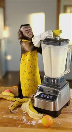 Banana Smoothie Explosion — You Won’t Believe What Happened 😳💥