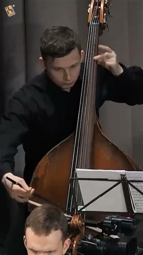 Tchaikovsky: Swan Lake Theme | Metamorphose String Orchestra