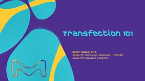 Final Transfection 101 MS