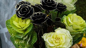 Nagyikonyha: a jó káposztás tésztához türelem kell