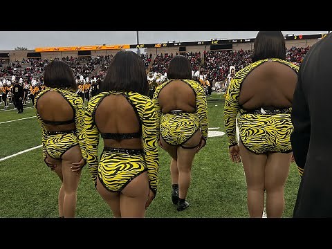 Alabama State University Stingettes & HoneyBeez Halftime Show| Turkey Day Classic 2023