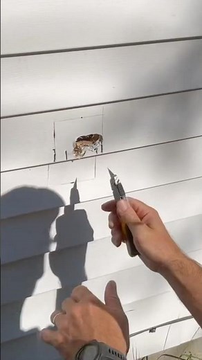 Installing an Outdoor Spigot Part 1 #diy #home #diywaterline #garden