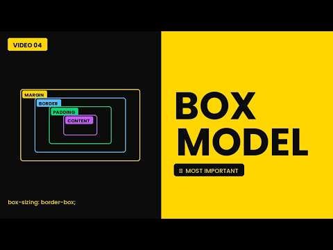 The CSS Box Model Explained So Clearly You’ll Never Forget It