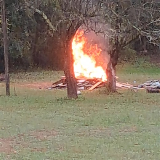 James Burns on Reels