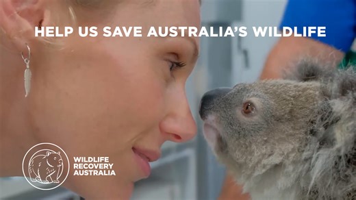 If you could help save an animal today, would you? Wildlife Recovery Australia has treated over 12,000 native animals since 2020, but the need across our vast country continues to grow. That’s why we created Matilda, Australia’s first mobile wildlife hospital, delivering expert veterinary care, rapid response during natural disasters, and frontline wildlife support wherever it’s needed most. On 3rd March, World Wildlife Day, Matilda is embarking on a National Tour to demonstrate her capabilities