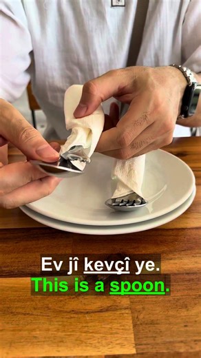Learn Everyday Kurmanji Kurdish Dining Vocabulary