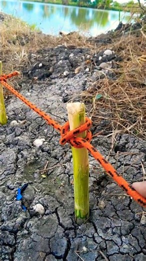 One constrictor knot, many uses !!
