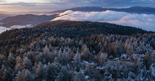 Frank and Joan Randall Preserve at the Tehachapi Mountains