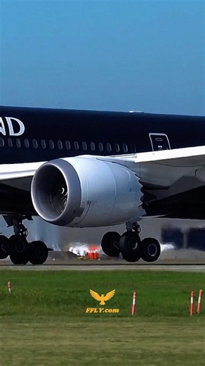✈️ Air New Zealand Smooth Landing | Stunning Touchdown! 🛬🇳🇿