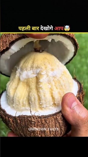 The Most Unique Coconut 🥥