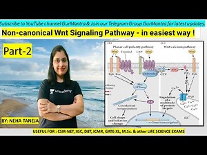 Non-Canonical Wnt Signaling Pathway in easiest way | Planar Cell Polarity Pathway | GurMantra