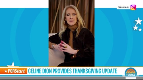 Celine Dion Shares Heartfelt Message to Fans on Thanksgiving