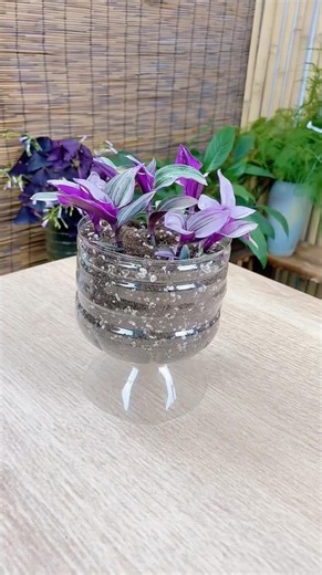 Creative cut plastic bottles make flowers pots look at beautiful #diy #flowers #craft #beautiful