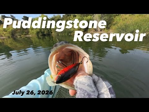 Puddingstone Reservoir Bass Fishing