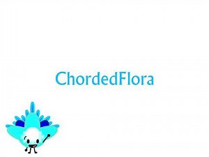 Chorded Intro (April 2021)