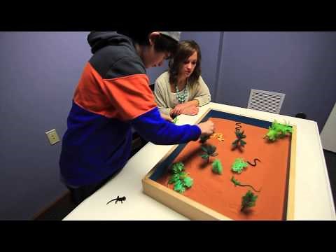 Sand Tray Therapy