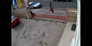 Woman steals dog from owner in violent attack caught on camera, police say