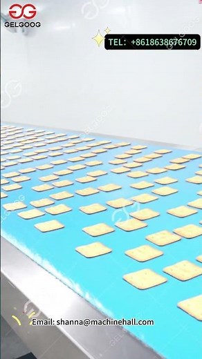 Trustworthy! Fully Automatic Biscuit Production Line