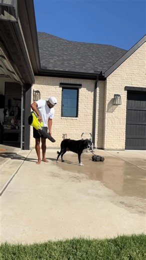 Roland Pollard on Instagram: "Here’s a life hack for all the dog owners out there… #lifehack #dogwash"