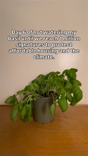 HouseEurope! | Non-Profit for a Just Built Environment on Instagram: "Sign now - link in bio - protect the basil, affordable housing & the climate. HouseEurope! is using the European Citizens’ Initiative (ECI) to give people across the EU a voice in shaping policies that prioritize renovation over demolition. By collecting 1 million signatures from at least seven countries until 31st of January 2026, the initiative aims to push the European Commission to consider legislation that ensures existin