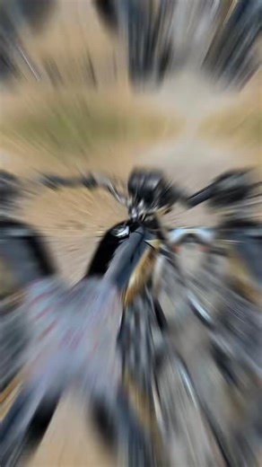 Creative Stickering Ideas for Honda 125 Enthusiasts