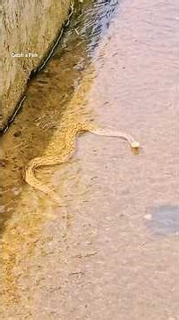 പറഞ്ഞത് വെറുതെയല്ല #keralafishing #shorts