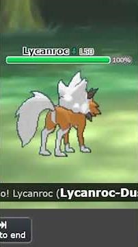 Sashed Zoroark Doing Things