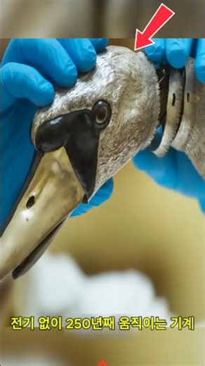 A machine that has been running without electricity for 250 years