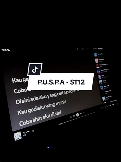 P.U.S.P.A by ST12: Lyrics and Insights