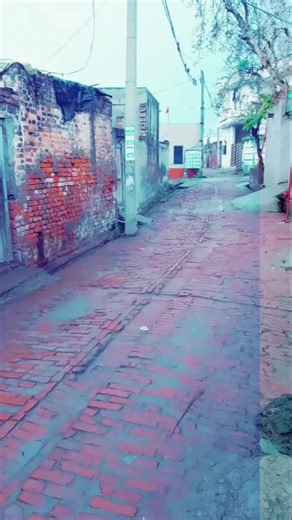 Thomas Sing Sing (@thomassingsing)’s videos with original sound - Randhawa