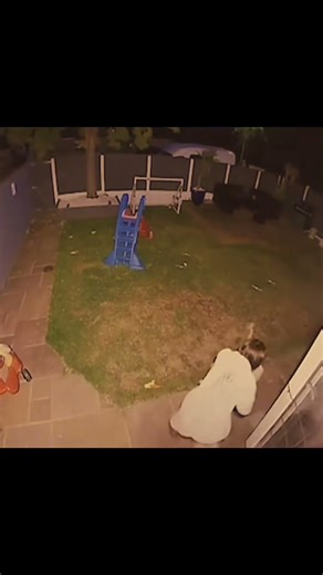 fadas escondidas reais #horror #lendas