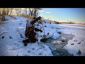 Late Winter Beaver Trapping these Bank Beavers (Multiple Catches)