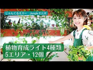 【植物育成ライト】使用している4種類12個の植物育成ライトをご紹介！バー、電球、クリップタイプ等、明るくない＆狭い部屋で観葉植物を楽しむヒント ー Ep.25