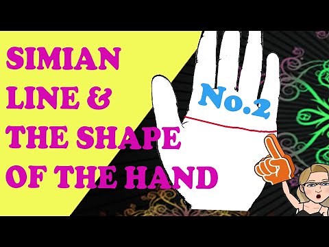 Simian Line and the Shape of the Hand Meanings in Palmistry