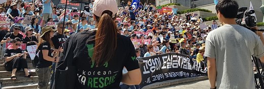 Our Mission To Save Dogs From Dog Meat Trades NYC