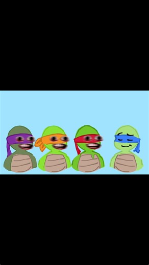 Teenage Mutant Ninja Turtles Characters Overview
