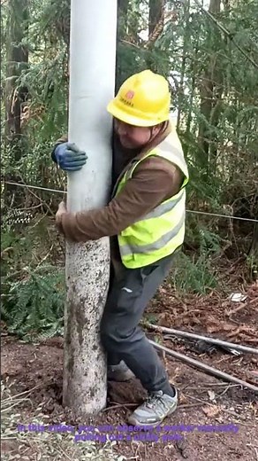 Manually Pulling Out Utility Pole - Satisfying ASMR & Impressive Manual Skill